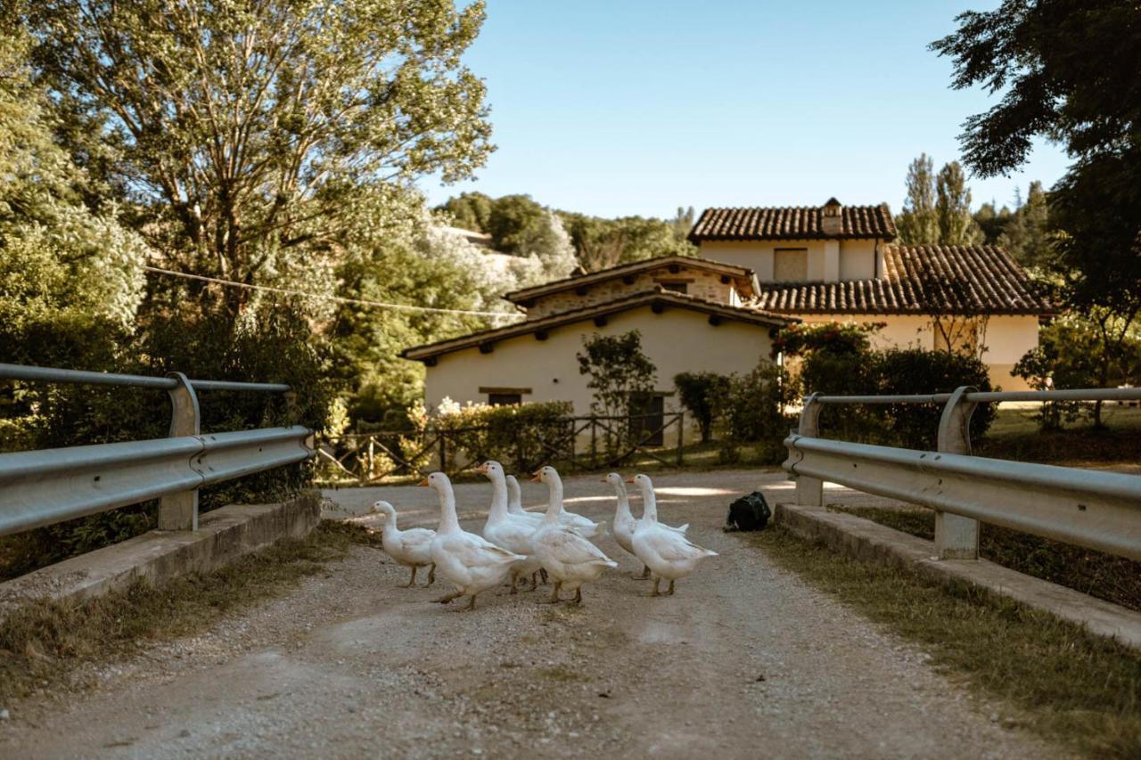 Agriturismo Le Radici Умбертіде Екстер'єр фото