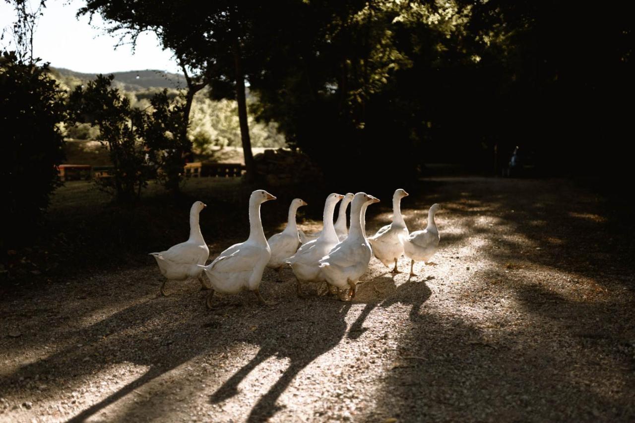 Agriturismo Le Radici Умбертіде Екстер'єр фото
