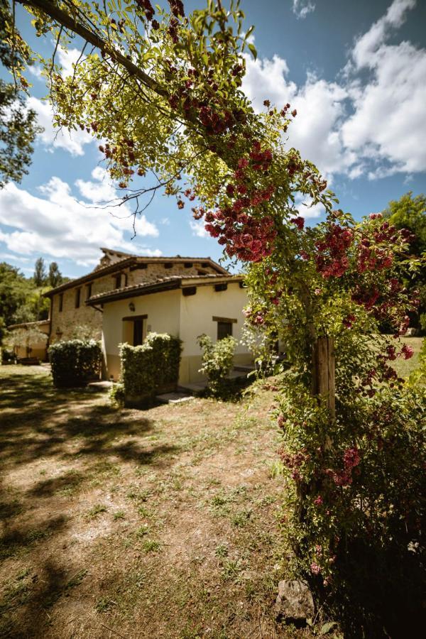 Agriturismo Le Radici Умбертіде Екстер'єр фото